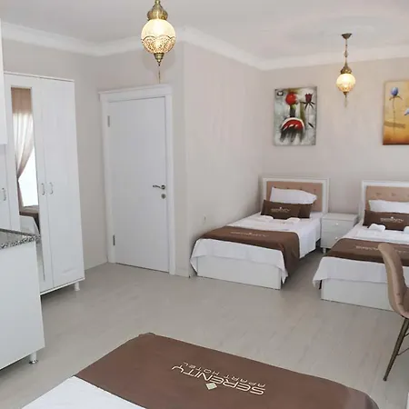 Economy hotel Serenity Apart